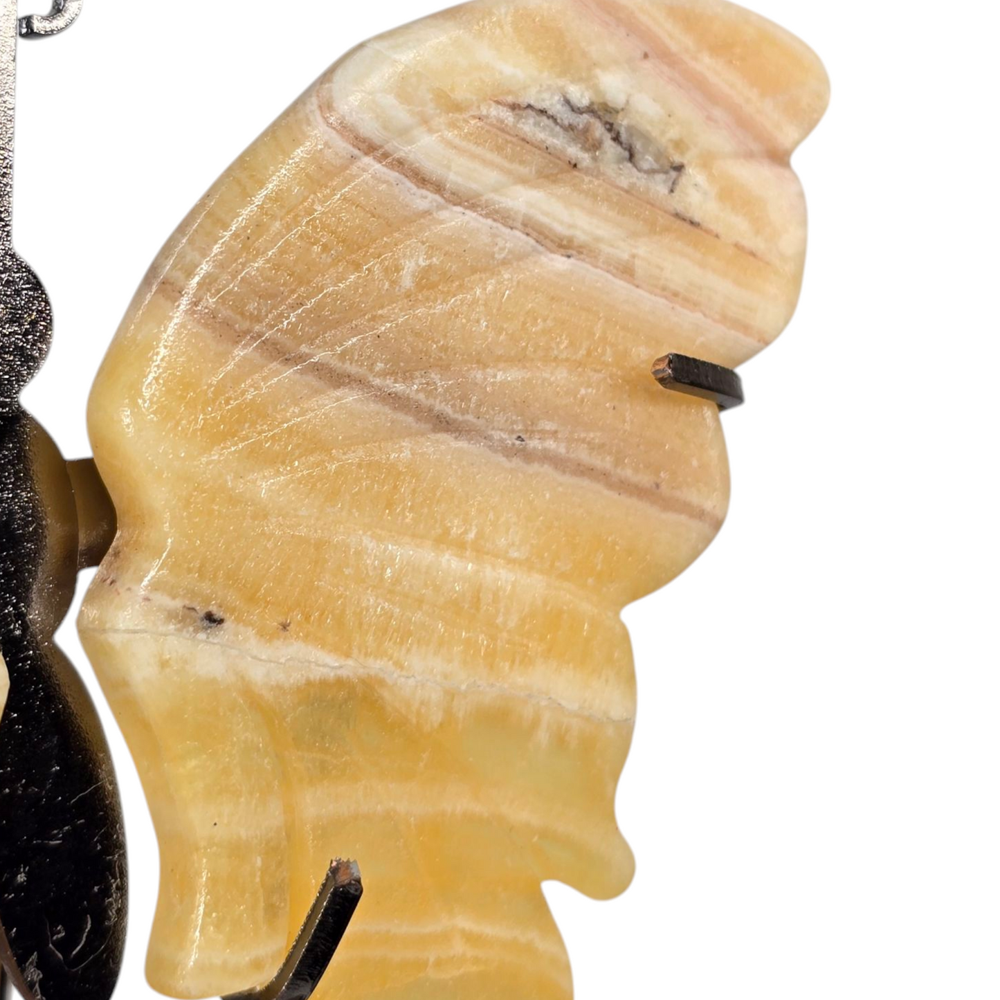 Enchanting Banded Yellow Calcite Butterfly Crystal Wings