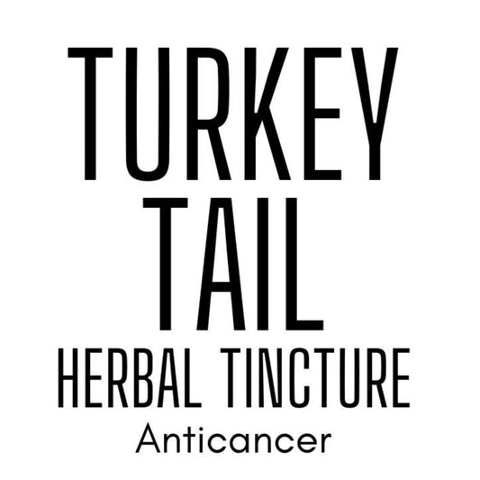 Turkey Tail | Herbal Tincture | Mushroom | Fungus