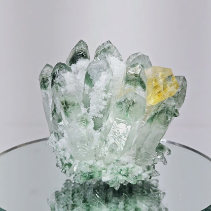 9.8oz Green Cactus Quartz Cluster Druzy | Natural Crystal & Stone Specimen | Unique Metaphysical Healing Witchy Gift