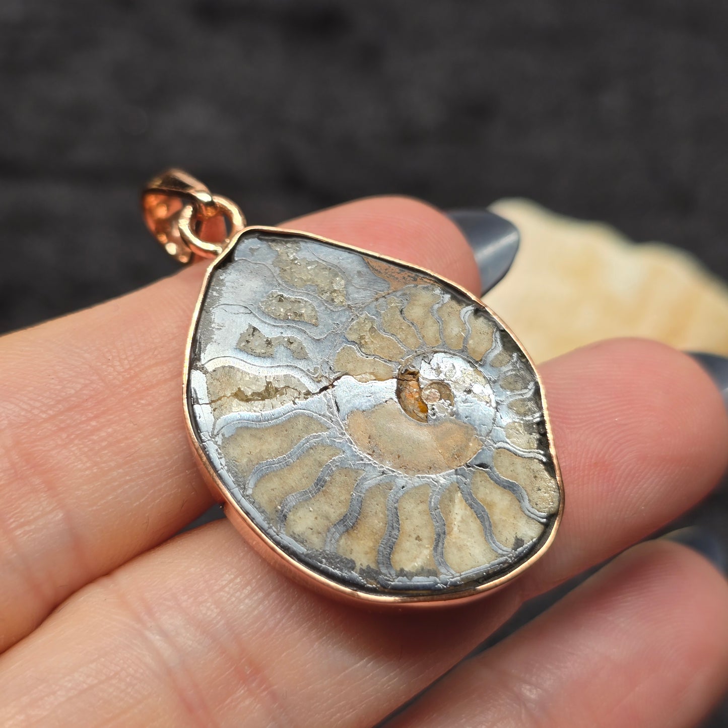 Natural Ammonite Fossil Pendant | Copper Setting