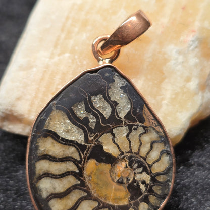 Natural Ammonite Fossil Pendant | Copper Setting
