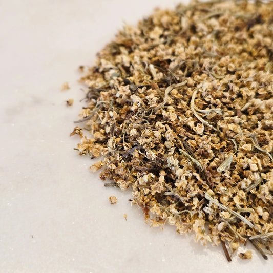 Elder Flower – Wildcrafted, Whole