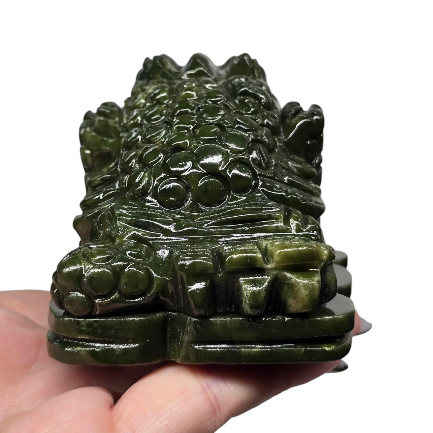 1.4lb Jade Money Toad Frog | Natural Crystal Carved & Polished Stone II