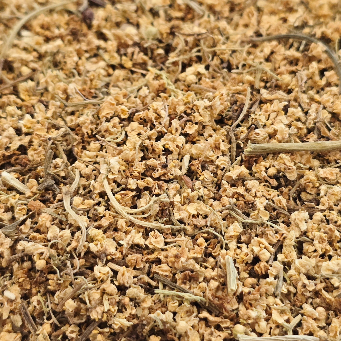 Elder Flower – Wildcrafted, Whole