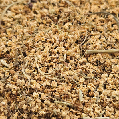 Elder Flower – Wildcrafted, Whole