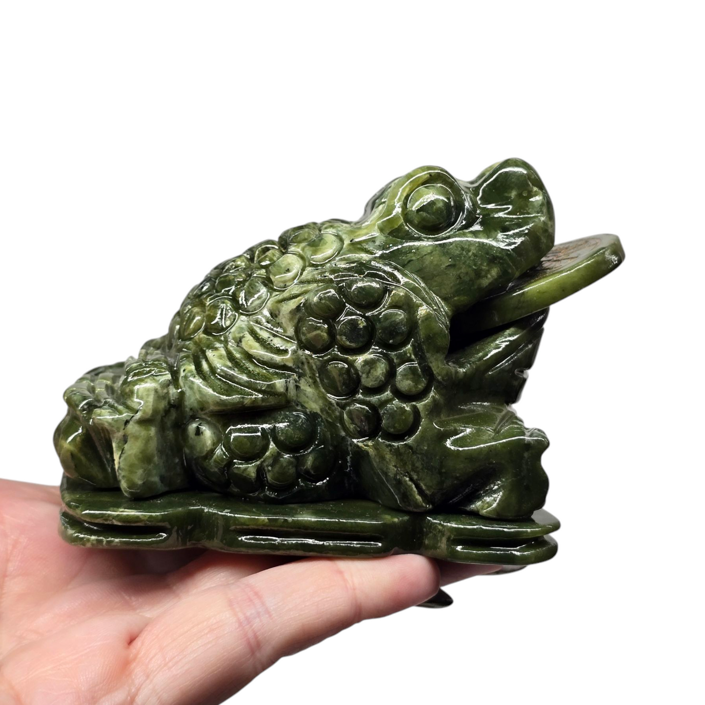 1.4lb Jade Money Toad Frog | Natural Crystal Carved & Polished Stone I