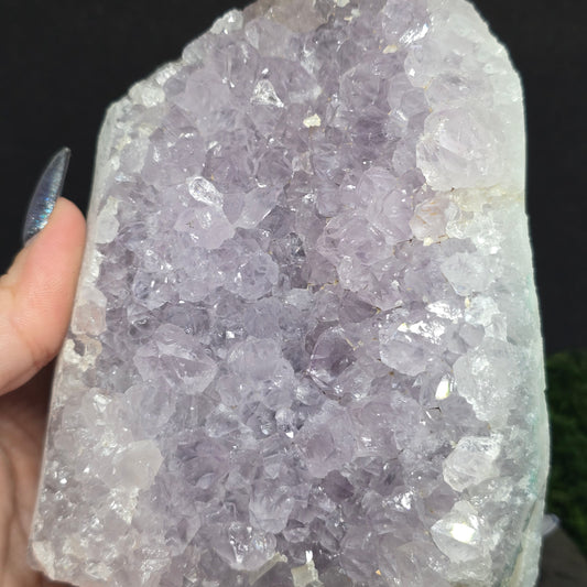 Amethyst Druzy Cave Cluster V