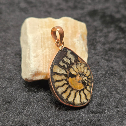 Natural Ammonite Fossil Pendant | Copper Setting