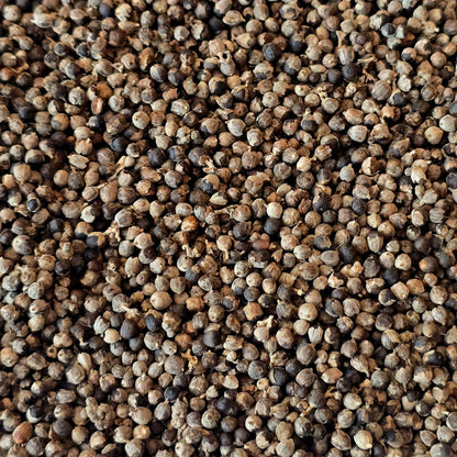 Vitex (Chaste Berry) – Organic, Whole