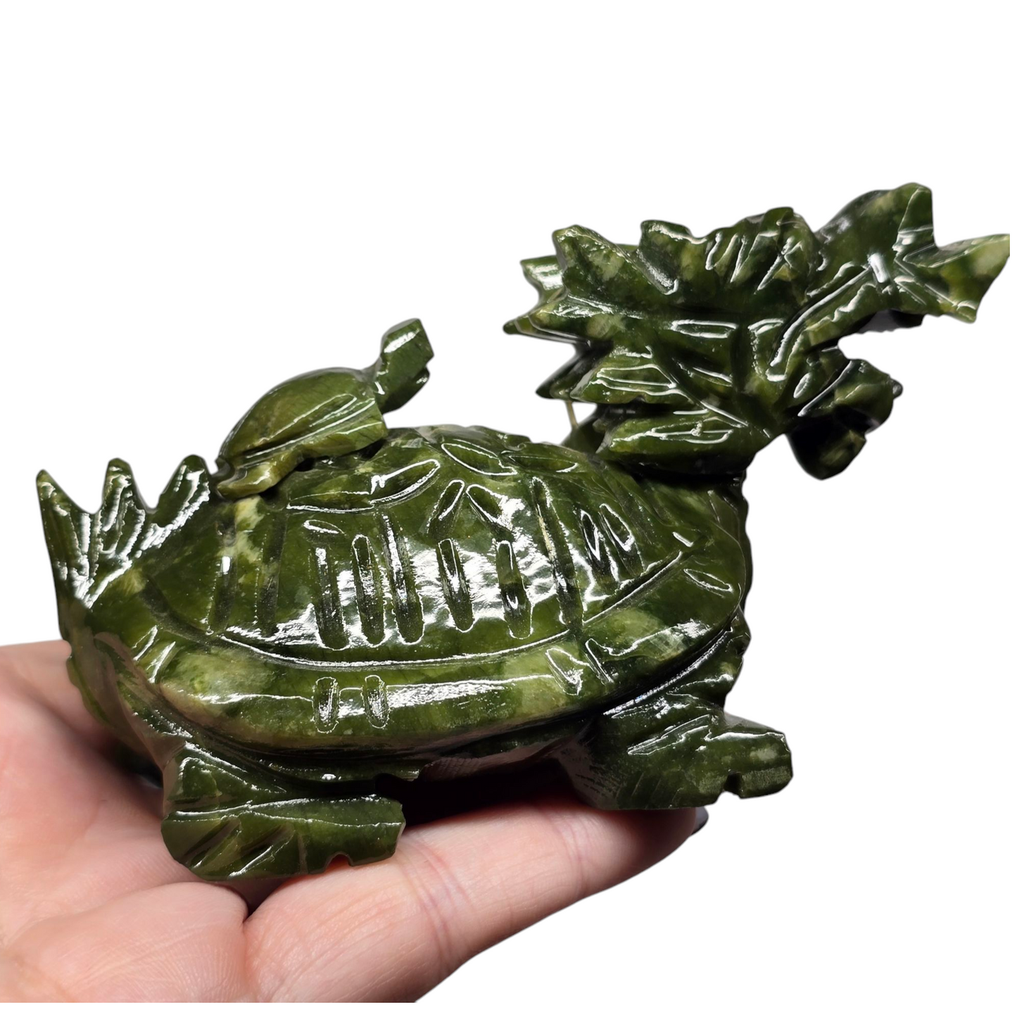 1.1lb Nephrite Jade Dragon Turtle Chinese Feng Shui Stone II