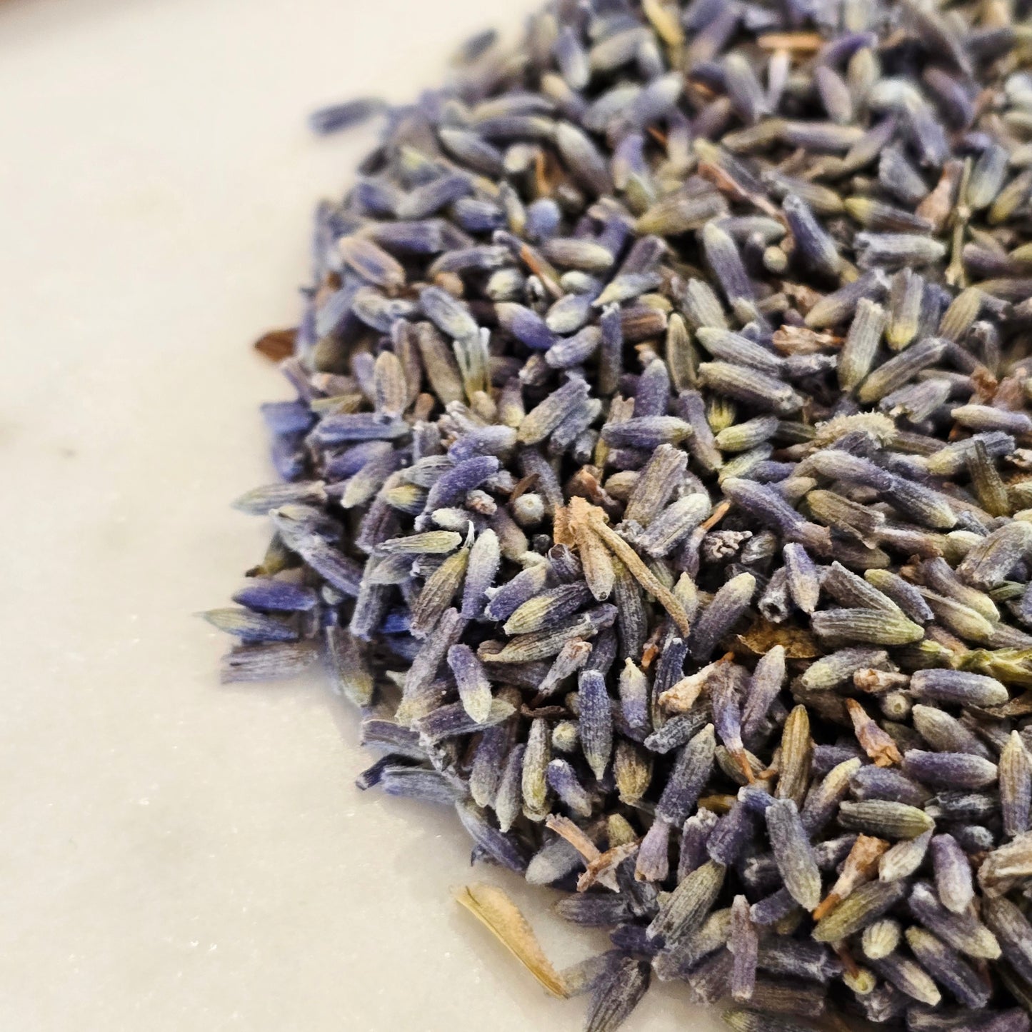 Lavender – Organic, Whole Flower