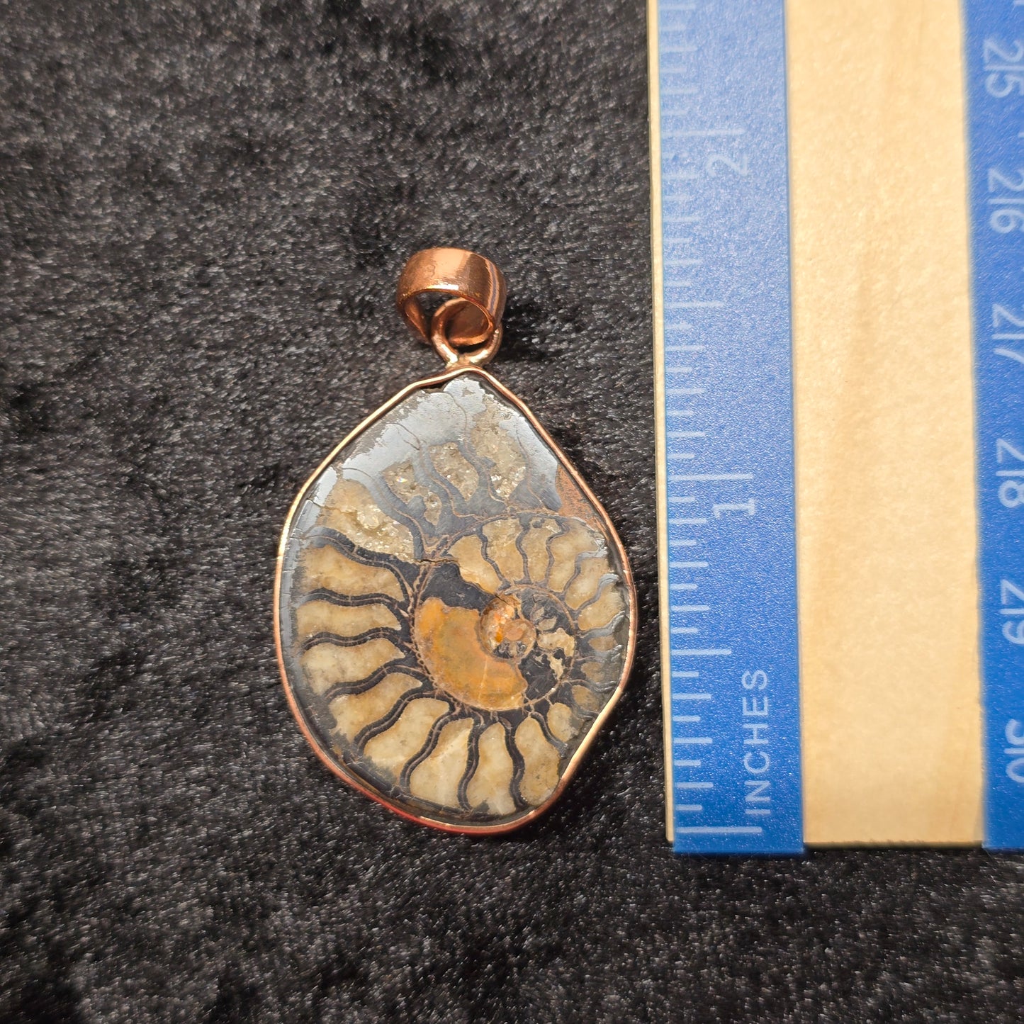 Natural Ammonite Fossil Pendant | Copper Setting