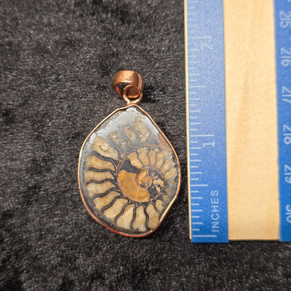 Natural Ammonite Fossil Pendant | Copper Setting
