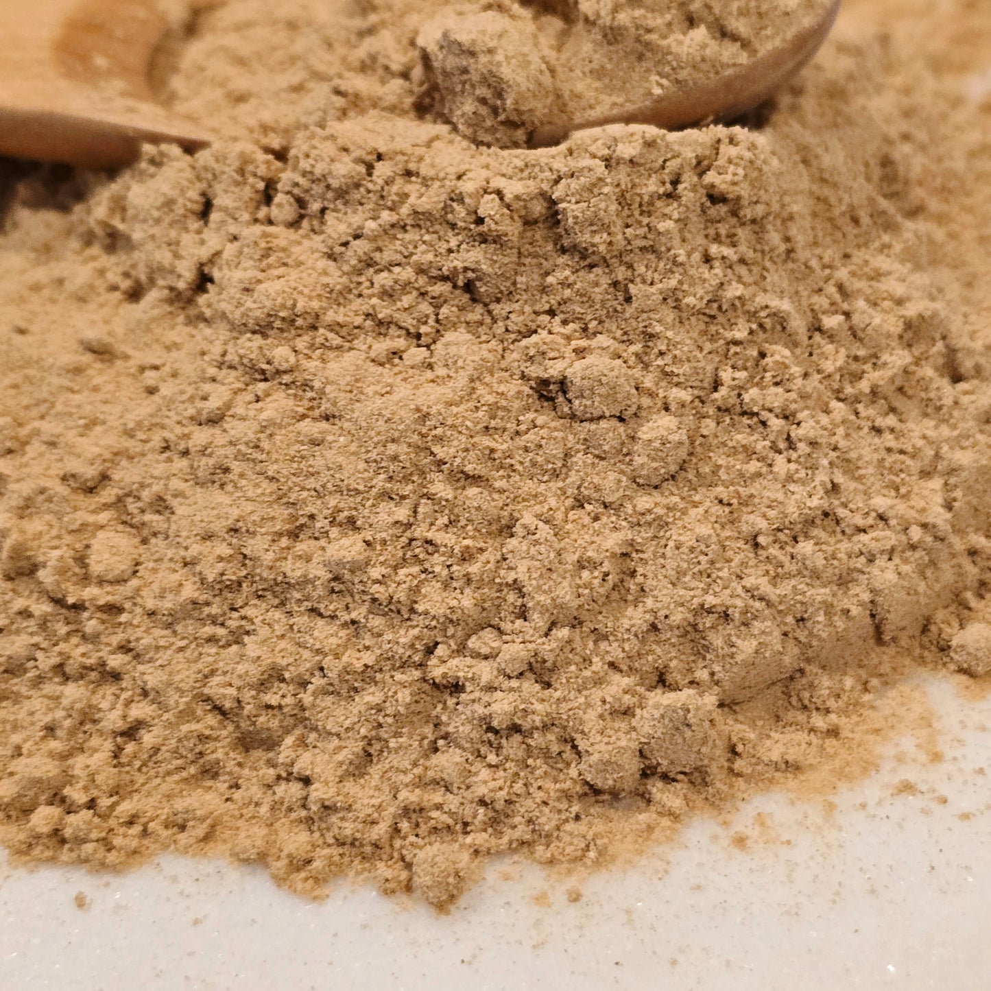 Lion’s Mane Mushroom Powder – Organic