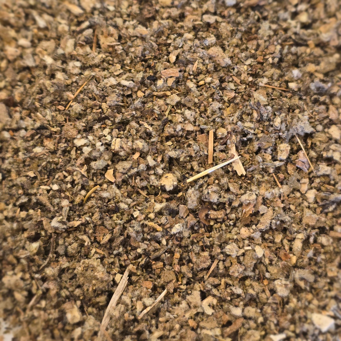 Mullein Leaf– Wildcrafted, Cut & Sifted