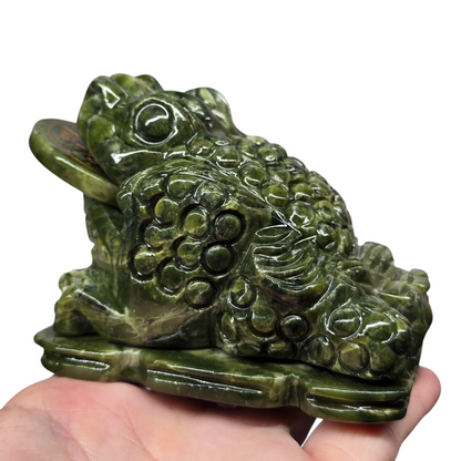 1.4lb Jade Money Toad Frog | Natural Crystal Carved & Polished Stone I