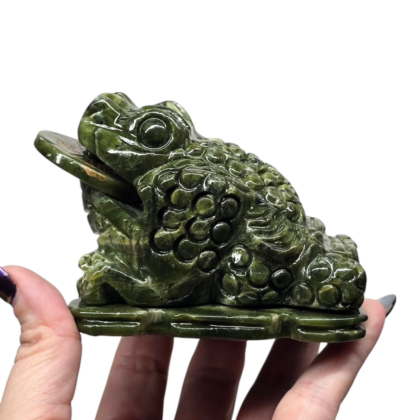 1.4lb Jade Money Toad Frog | Natural Crystal Carved & Polished Stone I