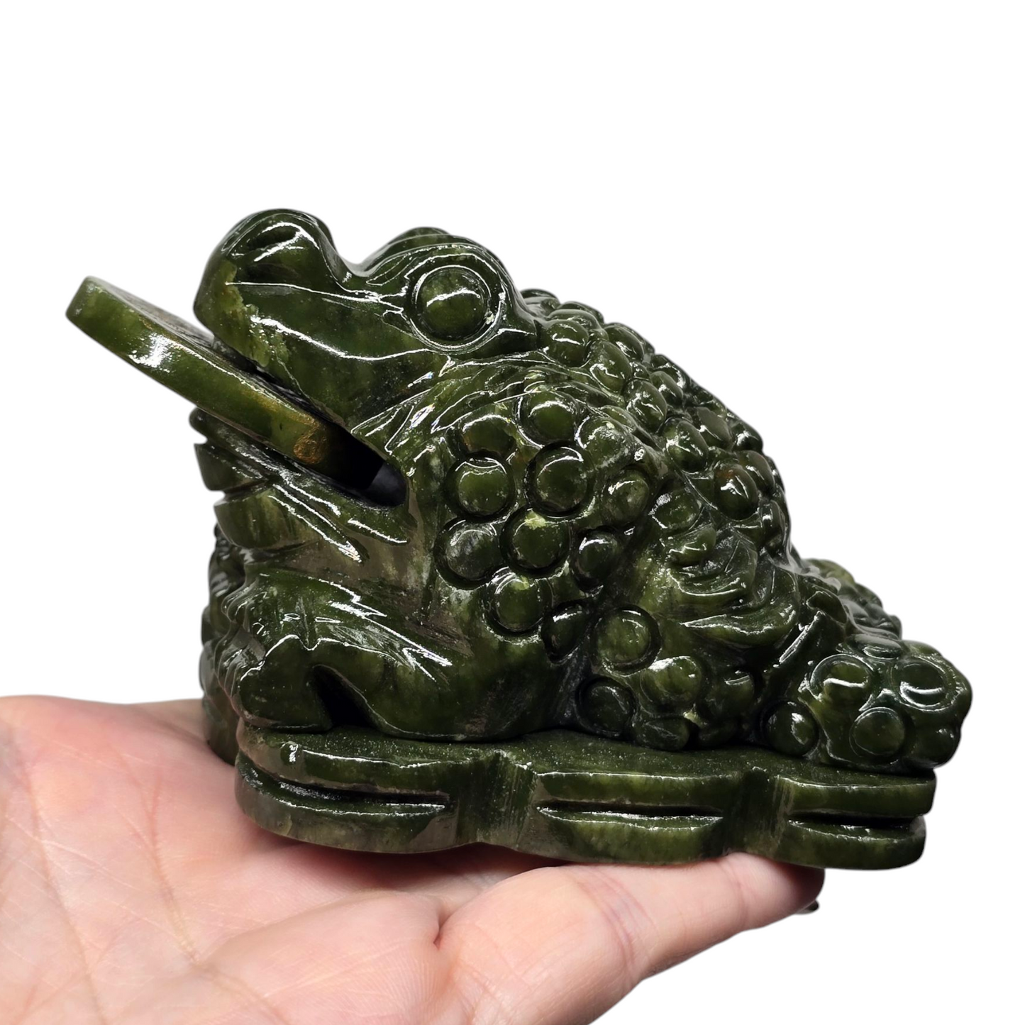 1.4lb Jade Money Toad Frog | Natural Crystal Carved & Polished Stone II