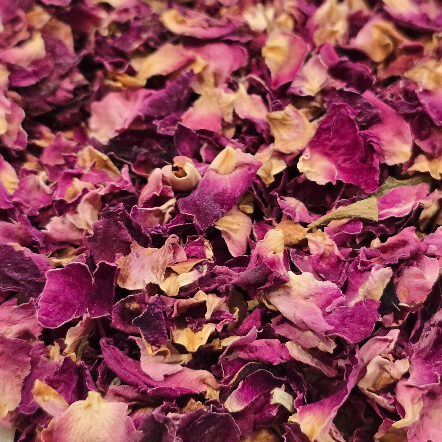 Rose Petals (Red) – Organic, Whole