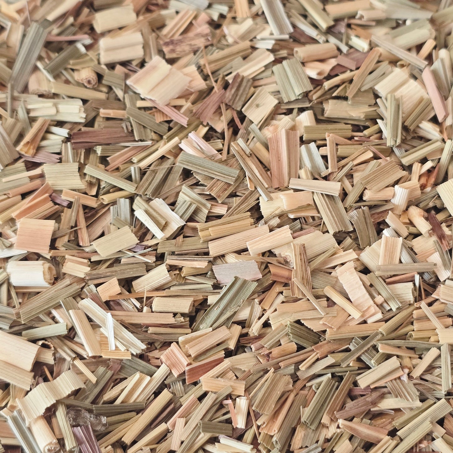 Lemongrass – Organic, Cut & Sifted