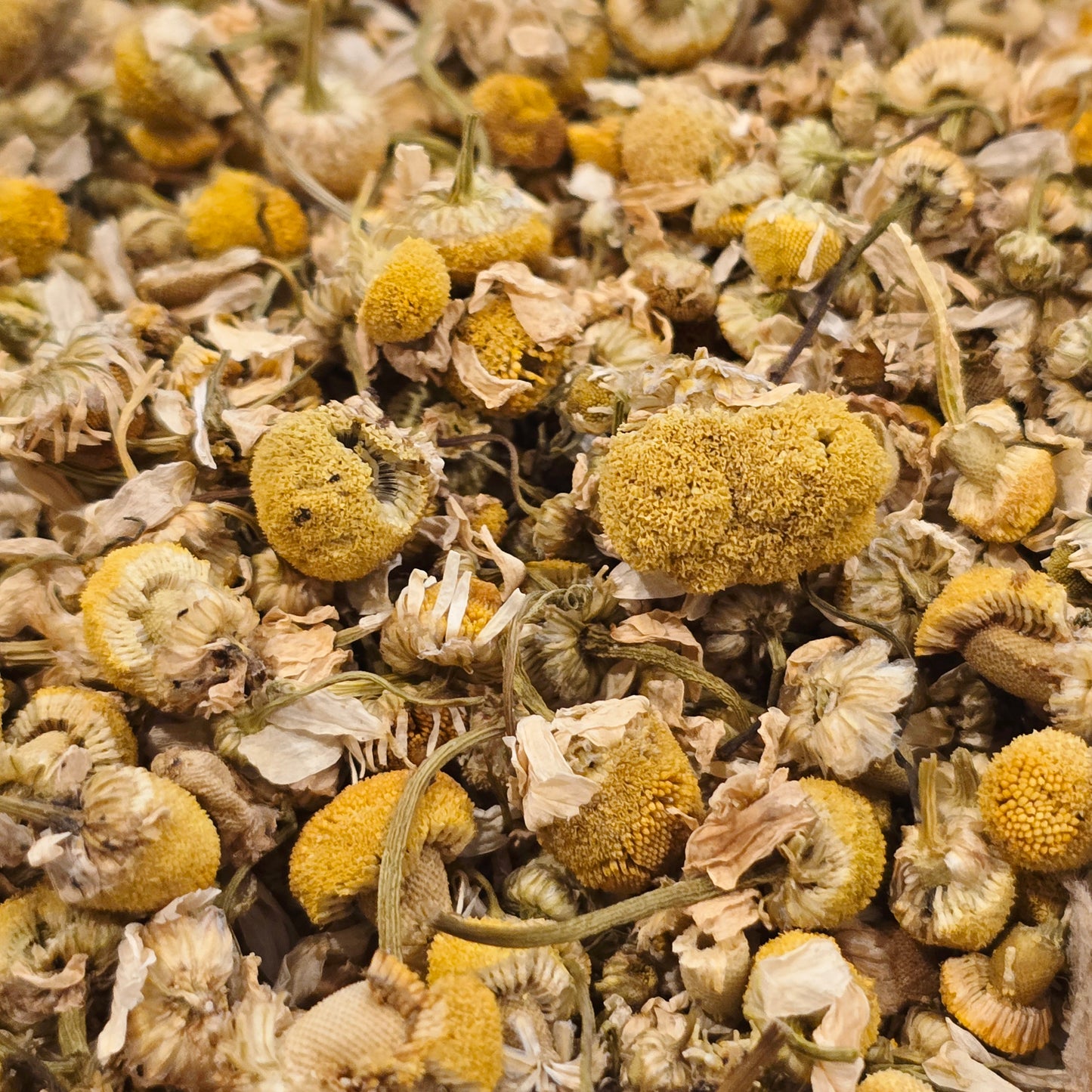 Chamomile Flower – Organic, Whole