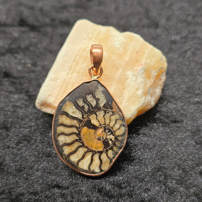 Natural Ammonite Fossil Pendant | Copper Setting