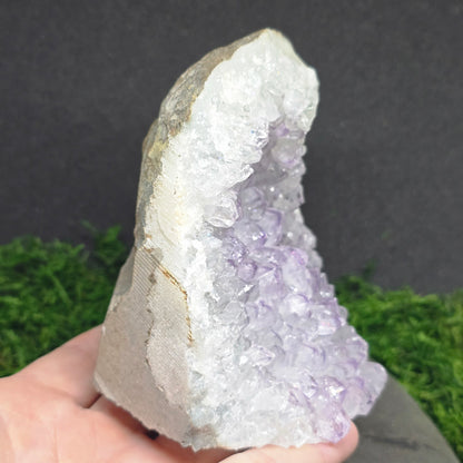 Amethyst Druzy Cave Cluster VI